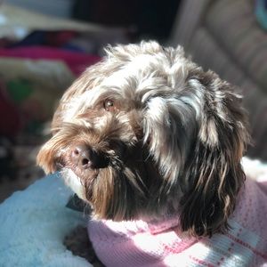 Meet your Posher, Corah